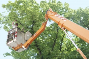 Crane Accidents and Crane Warning Systems